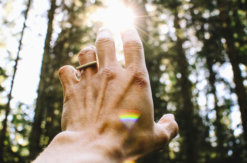 Hand reaching toward sunlight in a forest, symbolising natural healing, energy flow, and spiritual alignment