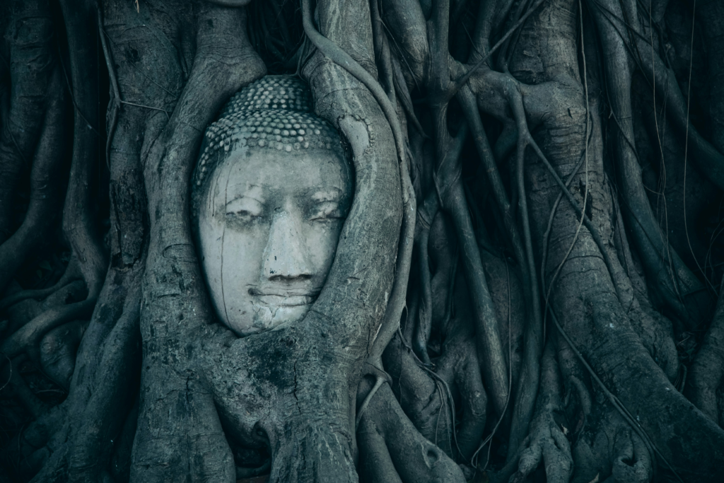 The Ancient Wisdom of Trees: How Nature Holds Our Healing, Energy, and Spiritual Truths