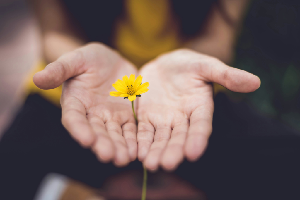 Hands gently holding a yellow flower, symbolising Reiki and the chakra system through gentle energy, balance, and intention