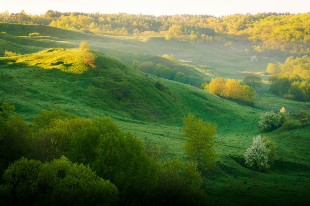 Places Where the Earth Still Speaks: The Most Powerful Energetic Points Around the World
