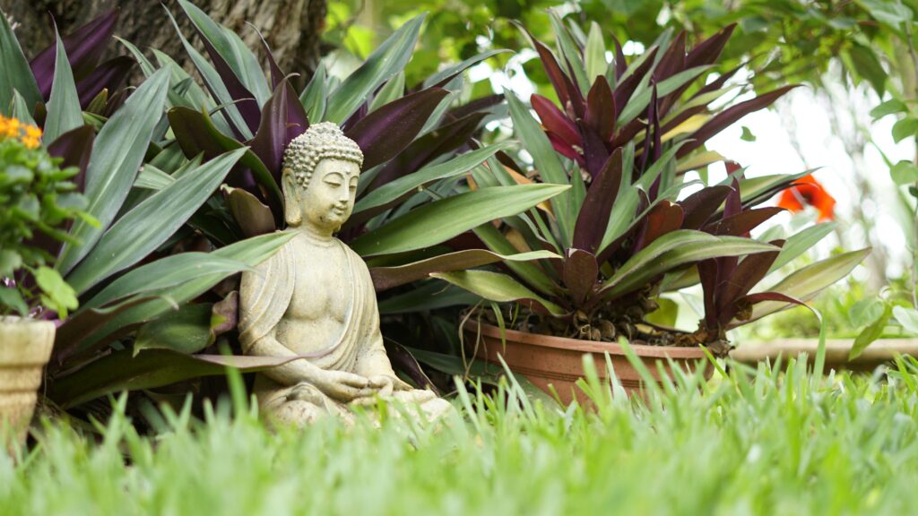 Meditation Benefits and Practices: Returning to Stillness in a Noisy World